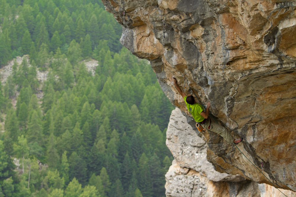 Arquee pour un criquet